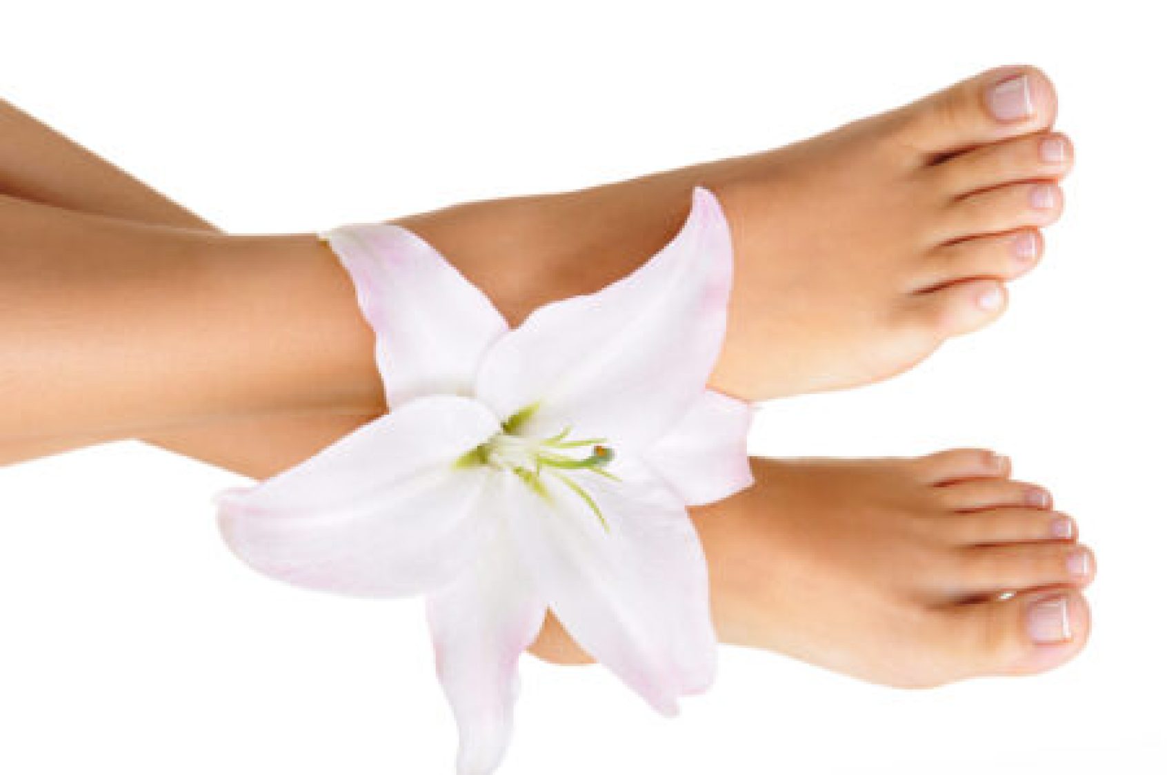 Healthy and elegant well-groomed female feet with the flowers on a white background